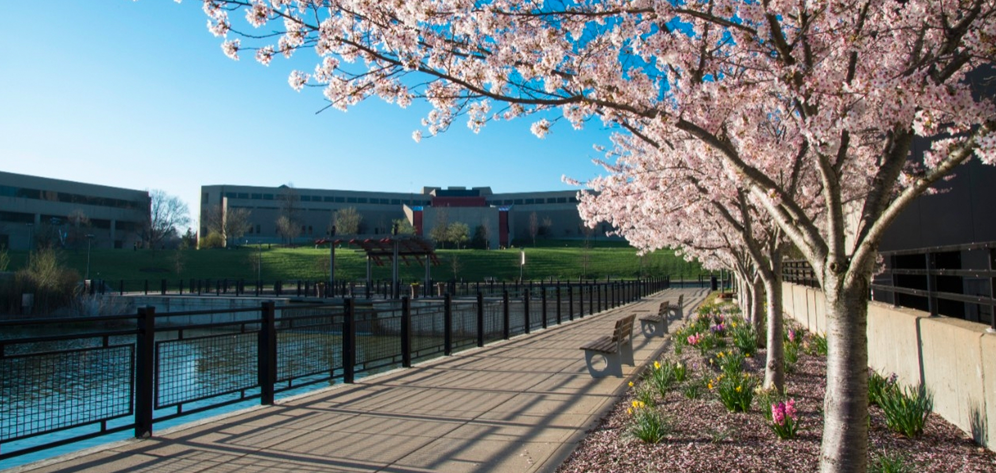 News & Media Center: Northern Kentucky University, Greater Cincinnati ...