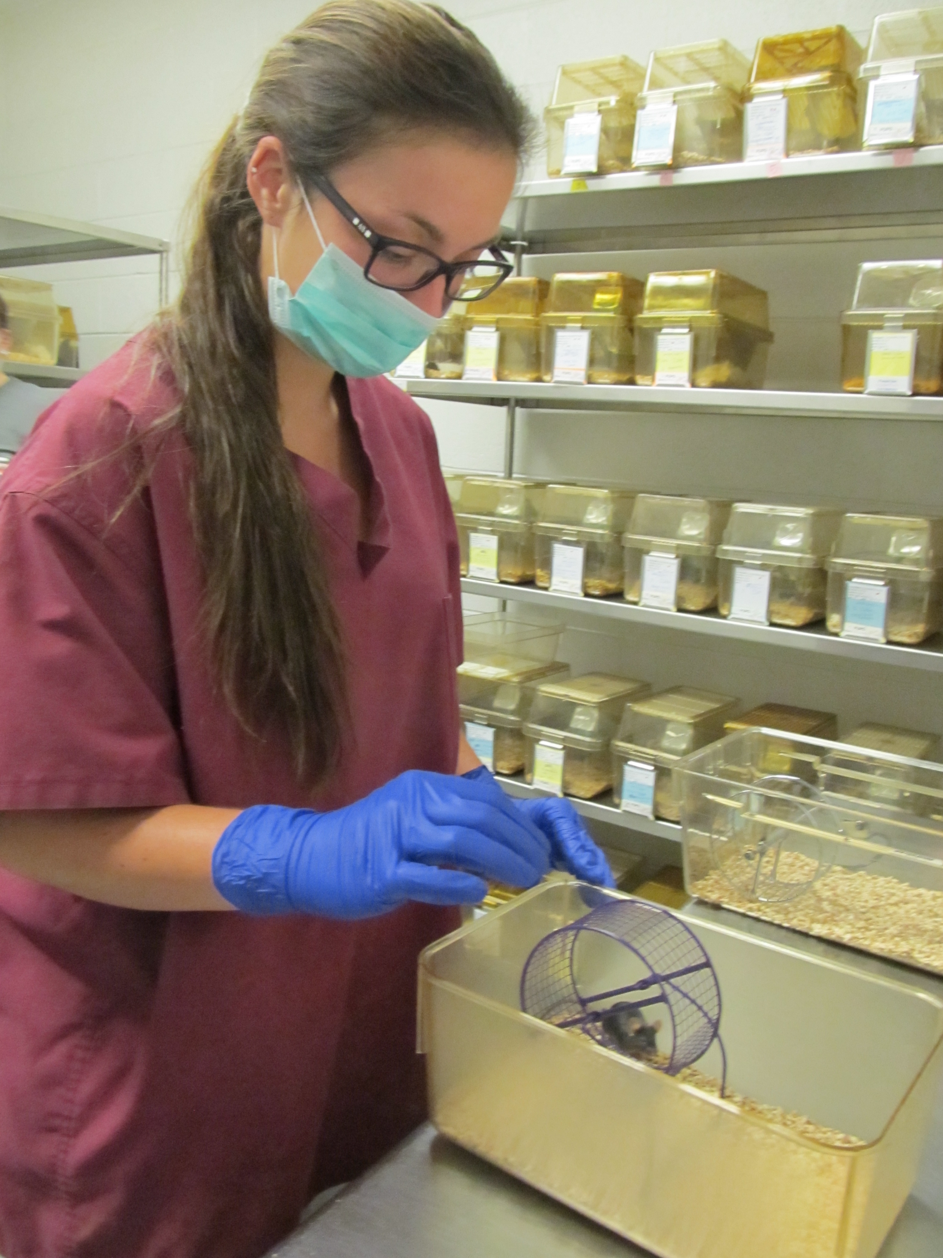 Curran lab