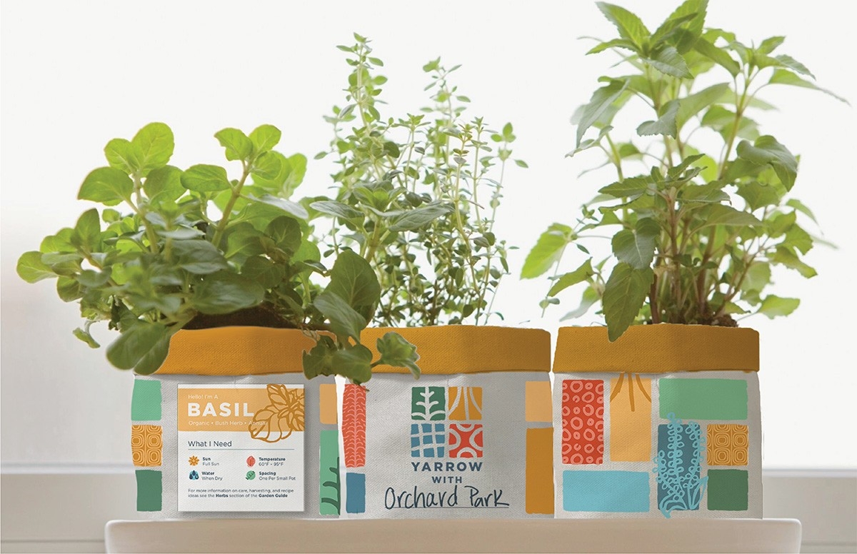 This is test alt text