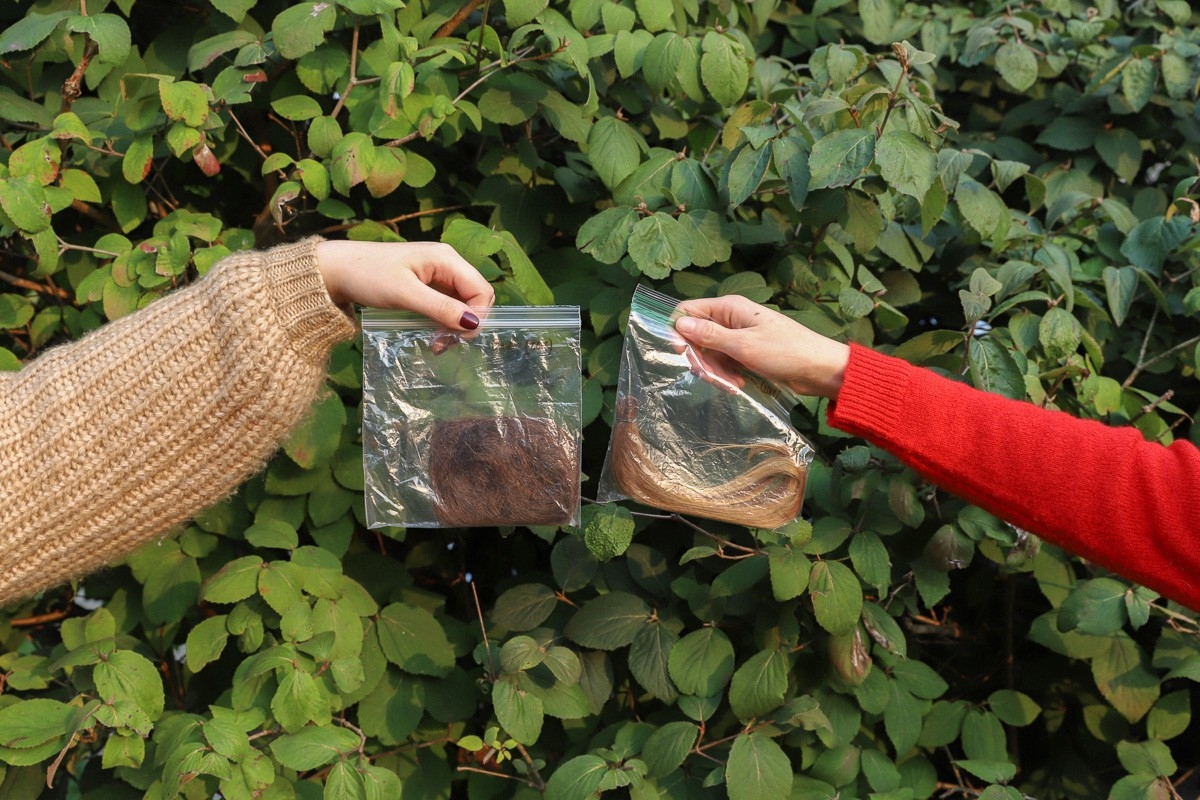 This is a Title This is test alt text