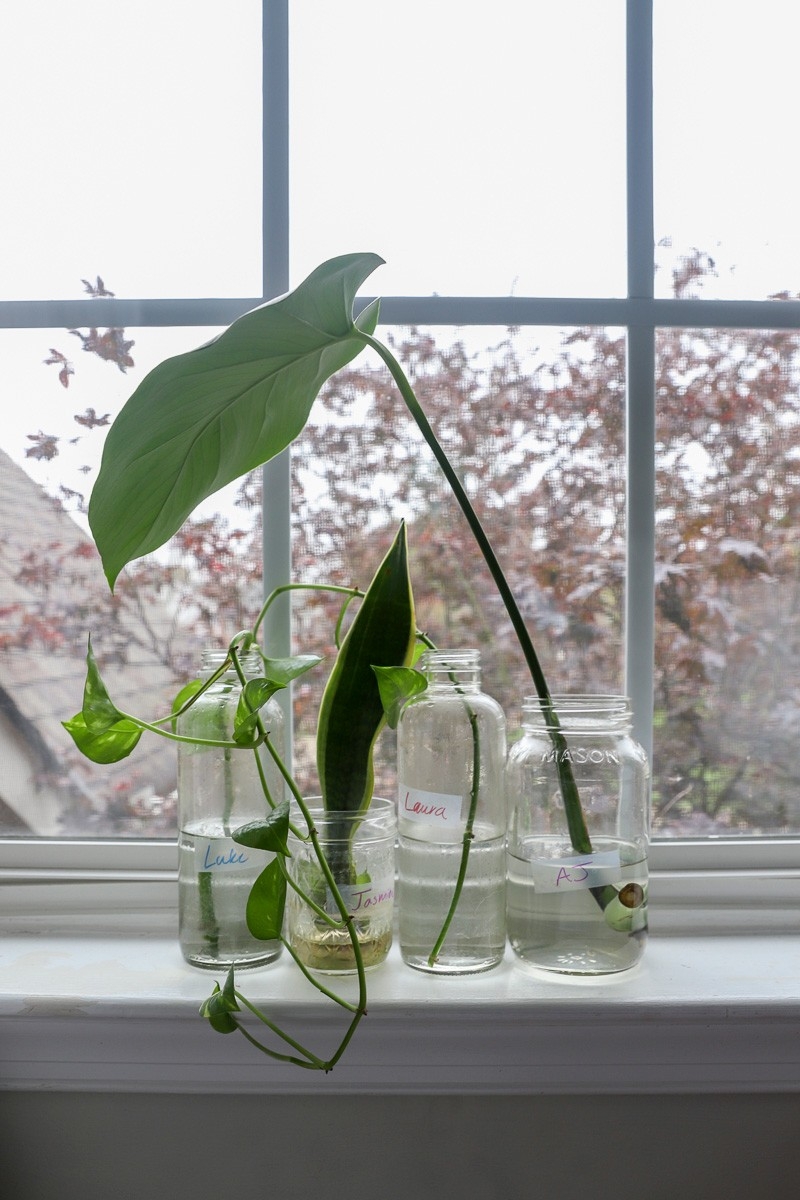 This is a Title This is test alt text