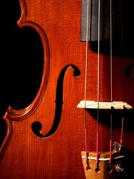 Close-up of violin f-hole