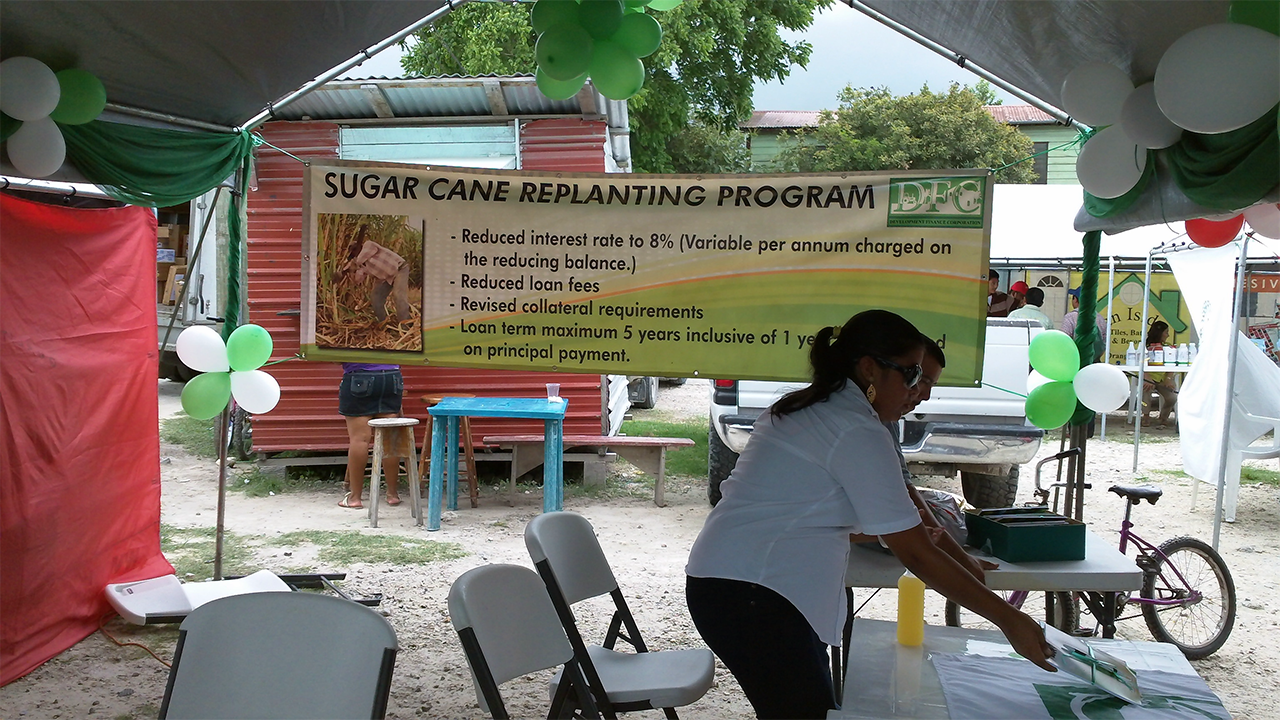 Sugar Cane Replanting Program