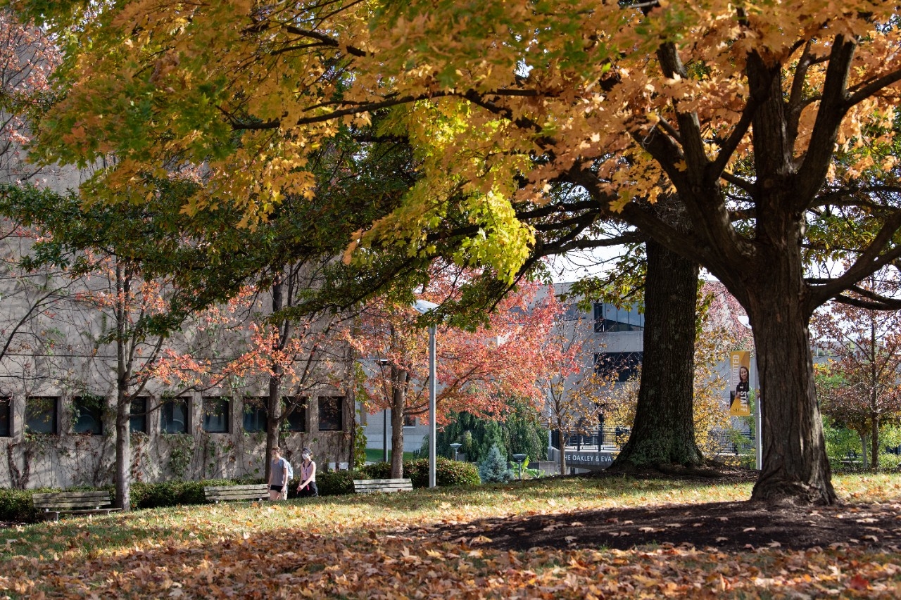 Photo of NKU grounds on a vibrant fall-colored day (in place of missing student photo)