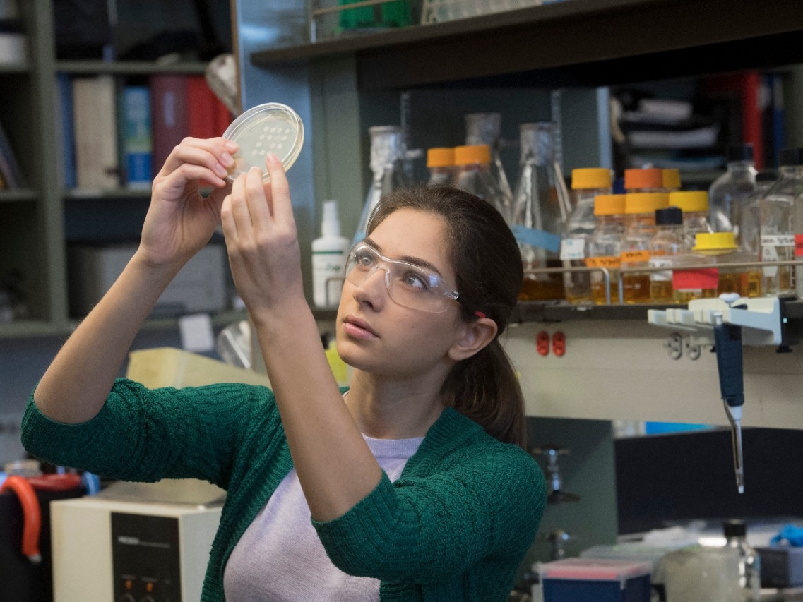 Chemistry student examining a petri dish in the lab