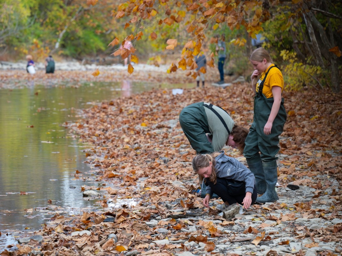 Students learning biology through hands-on activities in a stream on a colorful, fall day
