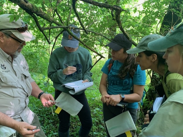 Microcredential students doing the Amphibian Assessment NKU's Research and Education Field Station with Dr. Richard Durtsche.