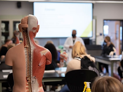 Students being taught about human anatomy and physiology in the classroom