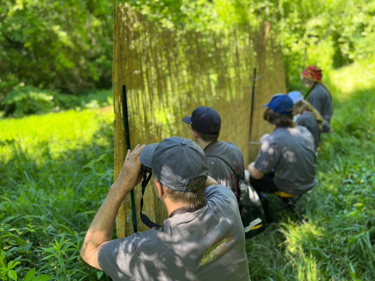 Camp participants search for birds through binoculars and bird blinds in the woods.
