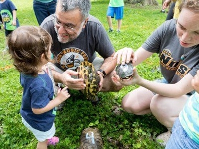 Visitors of NKU REFS hold box turtles at Nature Day.