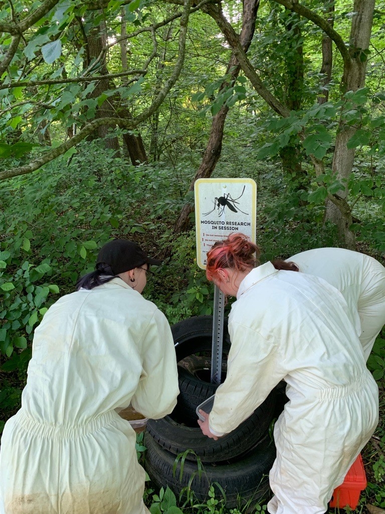 Dr. Allison Parker's field team