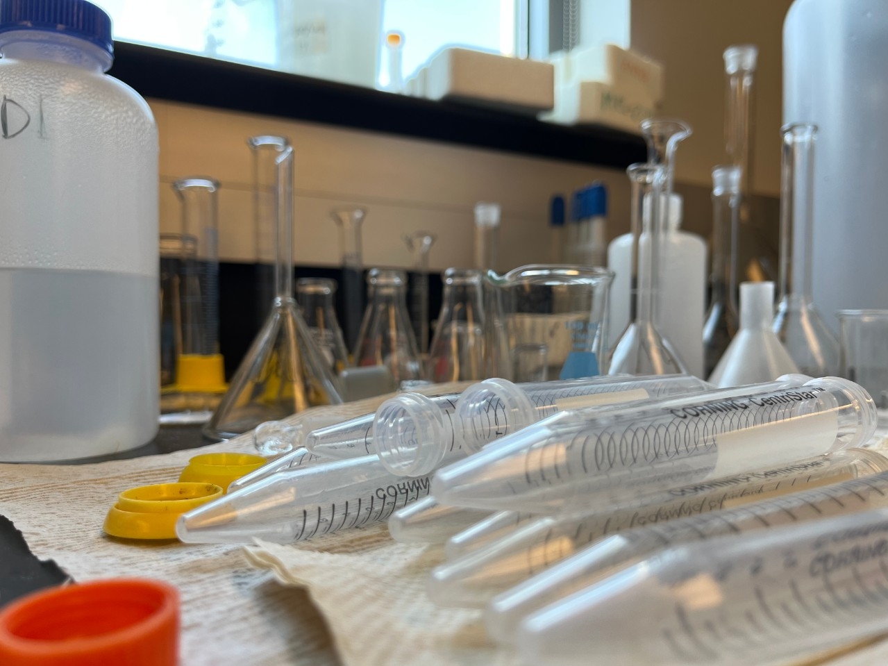 NKU Chemistry and Biochemistry laboratory equipment