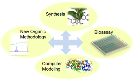 Drug Synthesis Schematic diagram