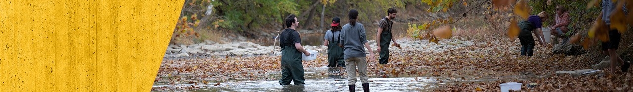 Students working outdoors on a research project.