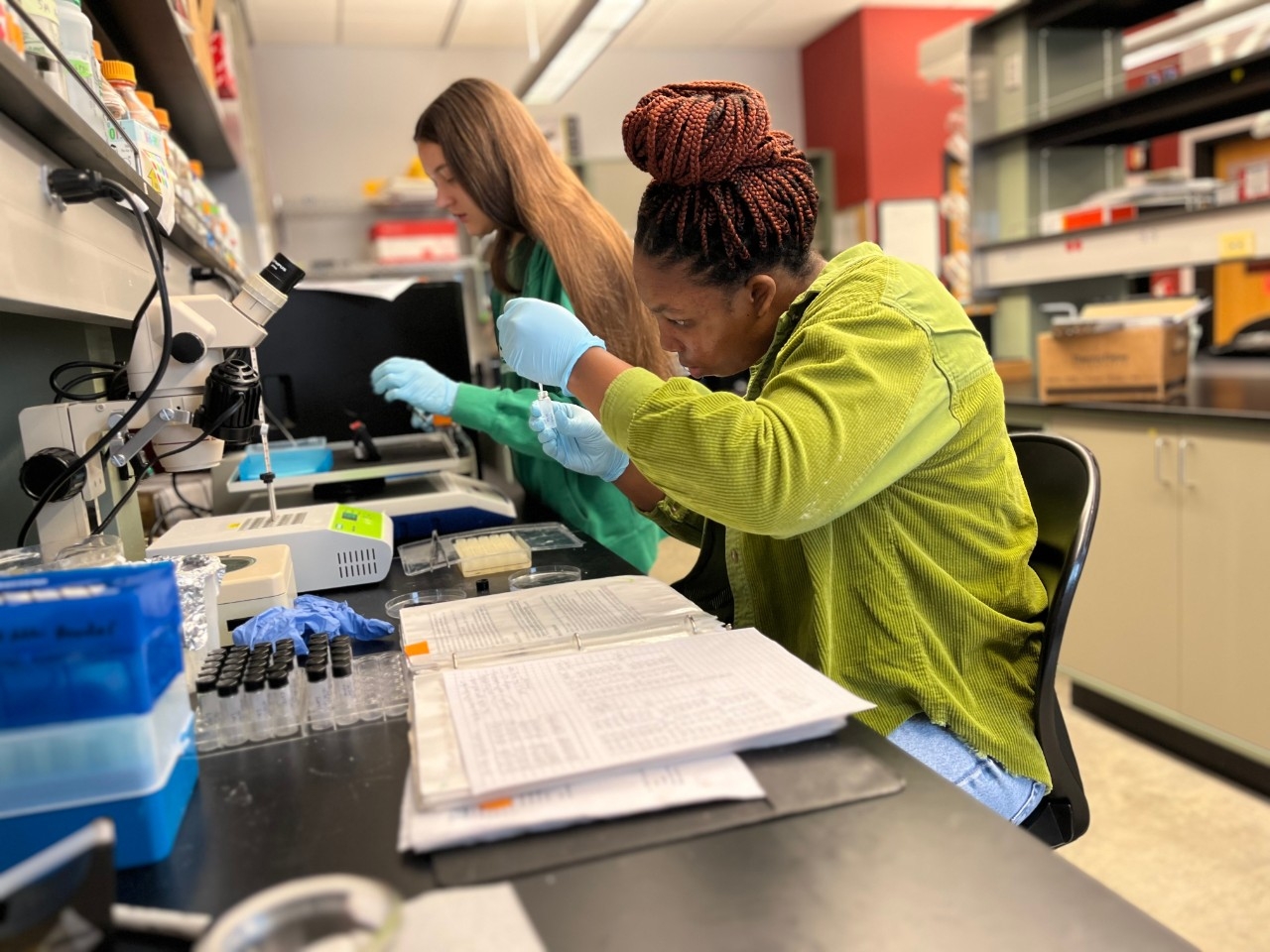 Undergraduate Research in STEM at NKU NKU Biological Sciences majors conduct research in the lab.