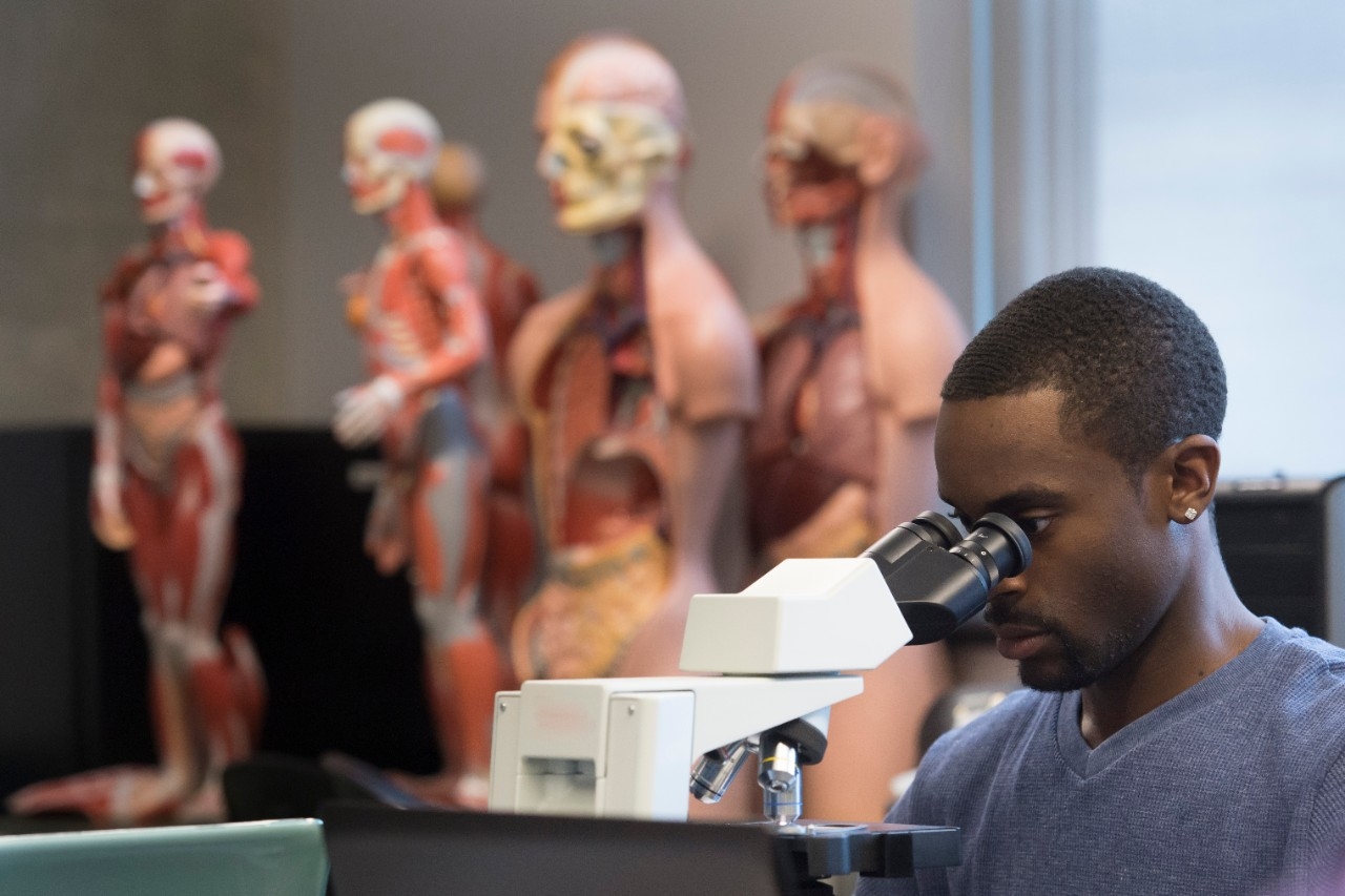 Student looking into microscope