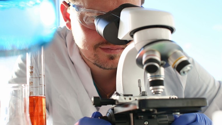 A scientist looks into a microscope