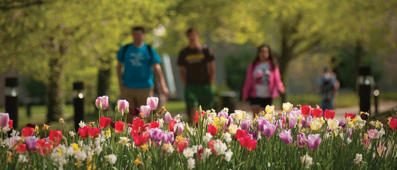 NKU Campus view