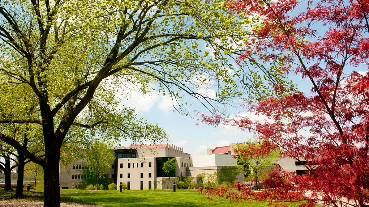 NKU in the Spring