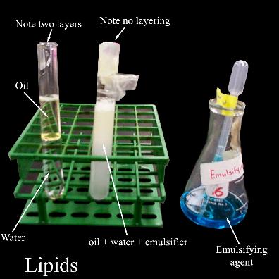 emulsifiers