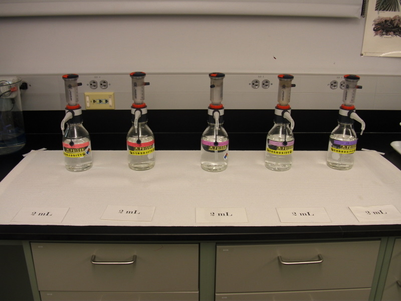 Lab 5: Enzymes and Reactions