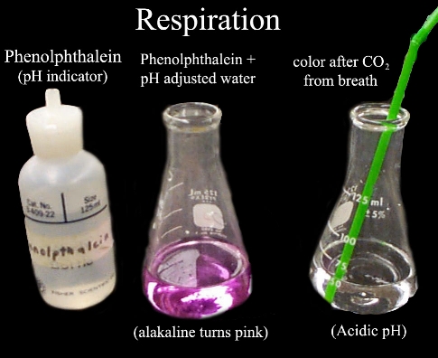 respiration equipment