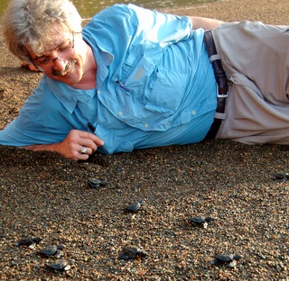 Dr. Dahlem posing by baby sea turtles in the sand