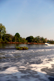 Sierpe River 2