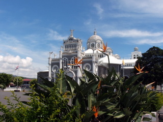 basilica and bird of paradise flowers
