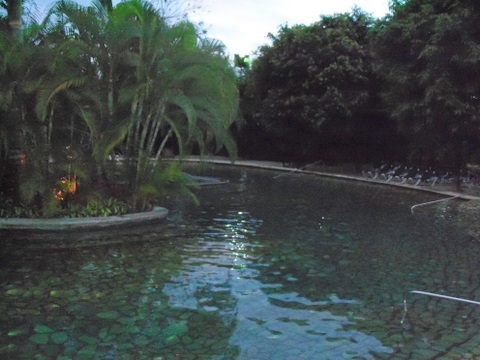 Baldi Hot Springs Pool