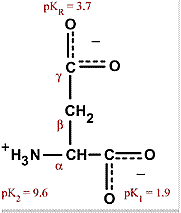 Chemical structure for aspartic acid
