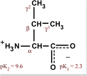 Chemcial structure for valine