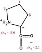 Chemical structure for proline