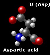 Molecular structure of aspartic acid  HOOC-CH3-CH(NH3)-COO
