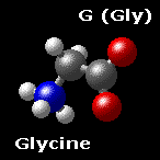 Molecular Structure of Glycine NH2-CH2-COOH