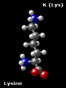 Molecular structure of Lysine H2N-(CH2)4-CH(NH3)-COO