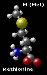 molecular structure of methionine CH3-S-(CH2)2-CH(NH3)-COO