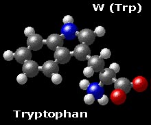 molecular structure for tryptophan Ph-NH-CH=C-CH2-CH(NH3)-COO