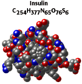 Insulin molecule C254H377N65O76S6