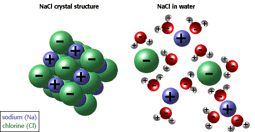 AnCl in crystal structure and in water