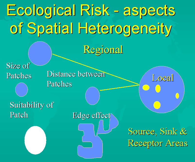 ecological-risk-aspects-of-spatial-heterogeneity