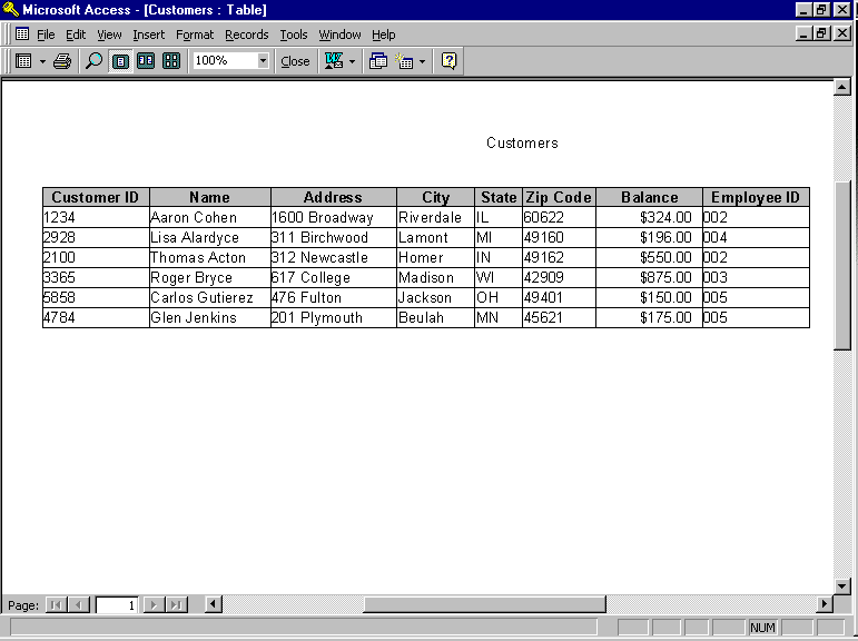 Customer's Table Microsoft Access Window View