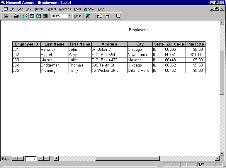 Employeer's Table Microsoft Access Window View
